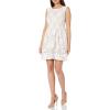 Vince Camuto Women’s Lace Fit and Flare Dress(Flare Ivory)